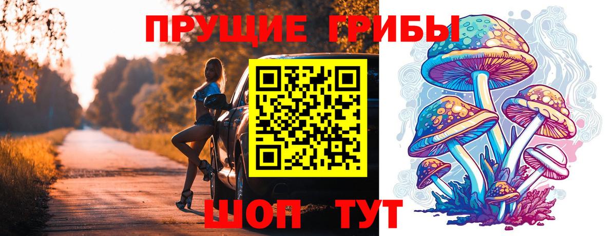 Псилоцибиновые грибы Psilocybe Луховицы