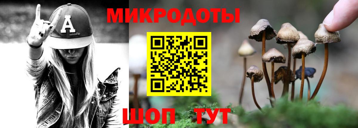 Псилоцибиновые грибы Magic Shrooms  Вход с VPN  Псилоцибиновые грибы Magic Shrooms  Луховицы 
